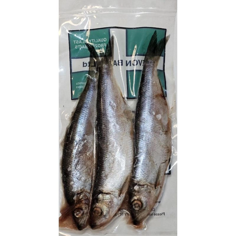 Devon Baits Frozen Herring Jacks
